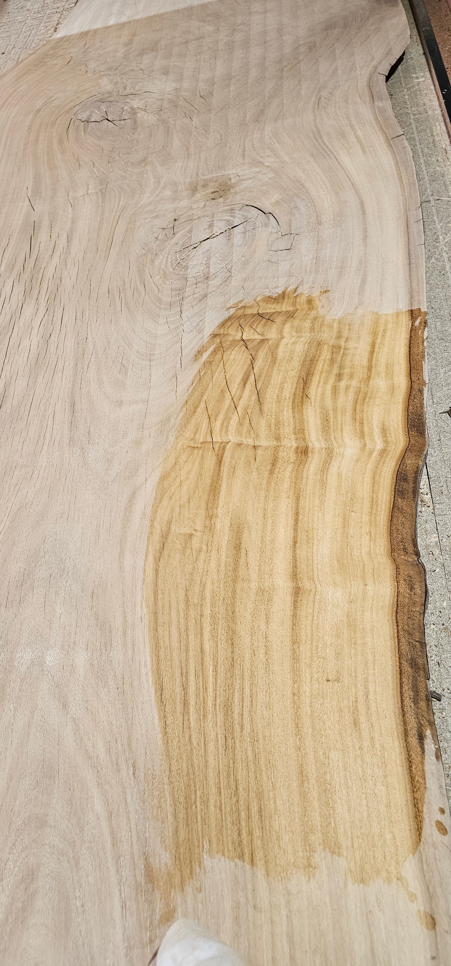 Huge Tallowwood Slab (Eucalyptus microcorys)